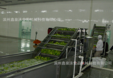 不銹鋼汽泡清洗機(jī) 蔬菜清洗機(jī) 機(jī)械手清洗機(jī) 中央廚房洗菜機(jī)