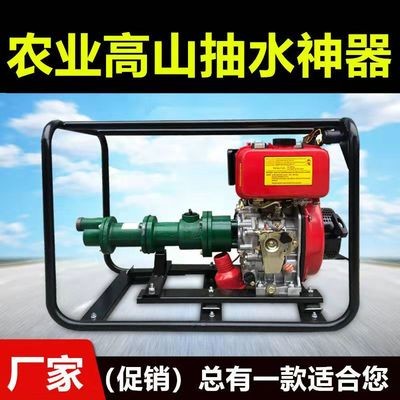 高揚程水泵200米300米高壓抽水機(jī)農(nóng)用高山水泵2寸螺桿泵 汽油柴油