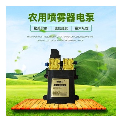 農用打藥隔膜泵 12V智能高壓大功率雙泵 電動噴霧器水泵 架子泵