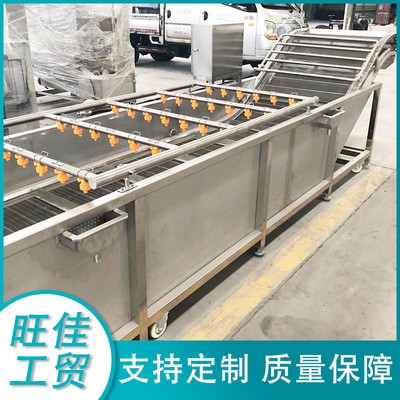 西蘭花菜花清洗機 龍須菜清洗設(shè)備 不銹鋼果蔬氣泡清洗流水線