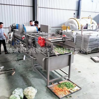 現(xiàn)貨熱銷洗菜機 商用渦流清洗機 蔬菜水果清洗機 支持定制 氣泡