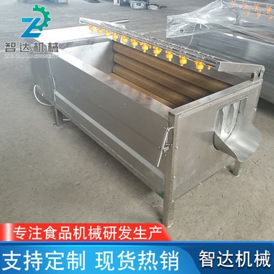 廠家供應(yīng)土豆去皮毛刷清洗機 山藥毛輥清洗機 海蠣子去泥清洗機