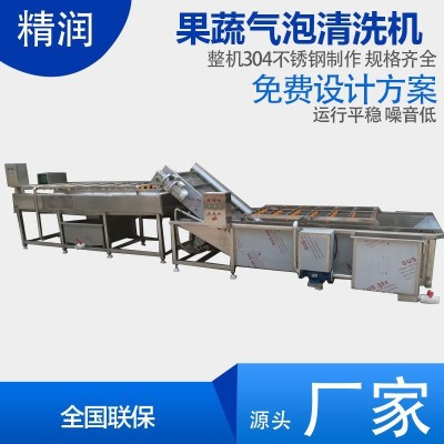 精潤水果分級清洗機(jī) 杏子桃子清洗機(jī) 農(nóng)業(yè)項(xiàng)目設(shè)備