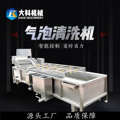 果蔬氣泡清洗機(jī)全自動(dòng)蔬菜高壓噴淋清洗設(shè)備不銹鋼水果藥材清洗機(jī)