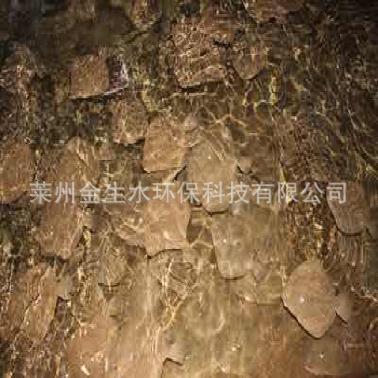 多寶魚(yú)工廠化循環(huán)水無(wú)公害養(yǎng)殖 多寶魚(yú)養(yǎng)殖