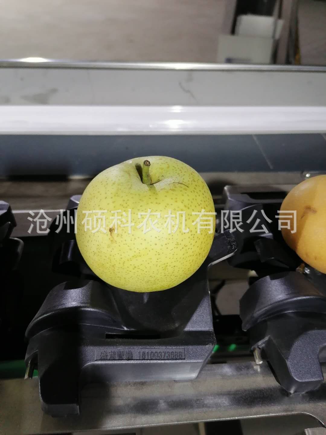 電子稱(chēng)重克重檸檬分級(jí)機(jī) 分選機(jī)小型篩選機(jī)水果分選機(jī)