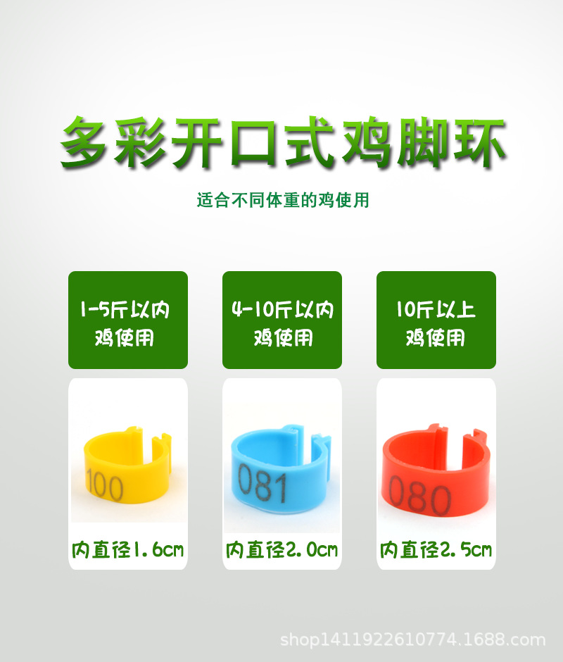 環2.png