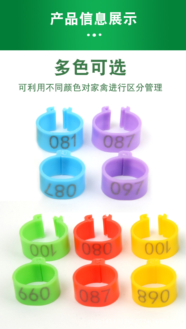 環3.png