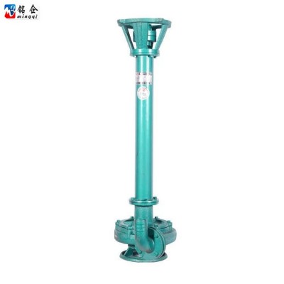 NL立式泥漿泵22KW 養(yǎng)殖場(chǎng)化糞池專用耐磨桿泵 液下污水泥漿排污泵