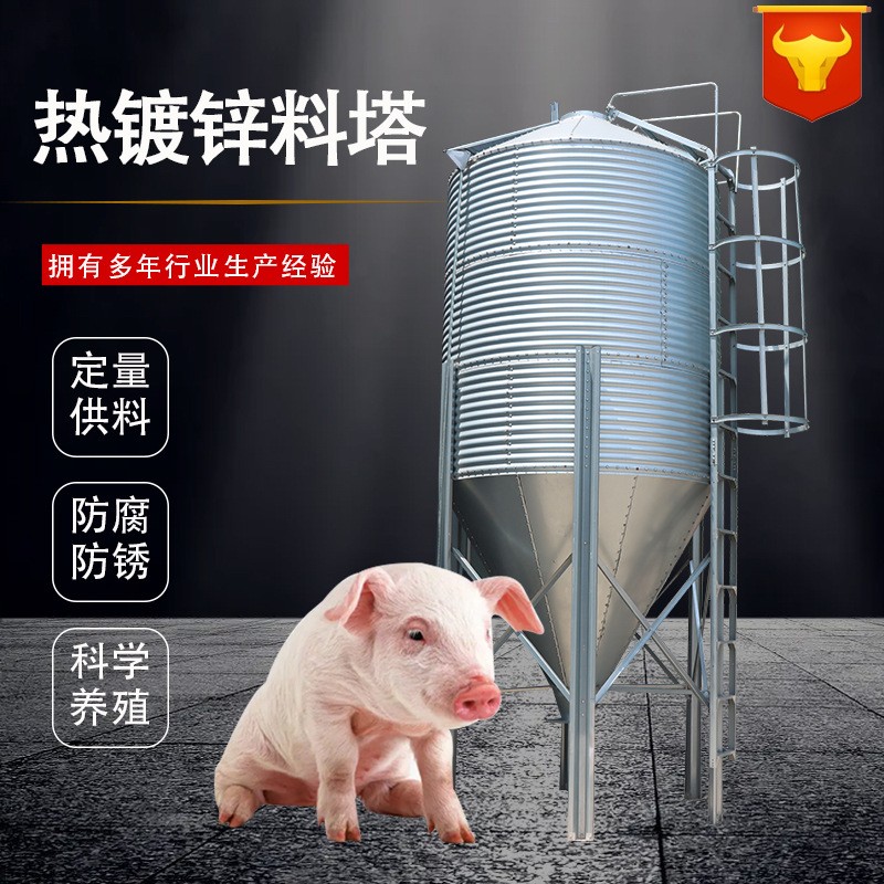 廠家定制大容量養豬畜牧設備豬場雞場飼料儲存罐飼料塔鍍鋅板料塔