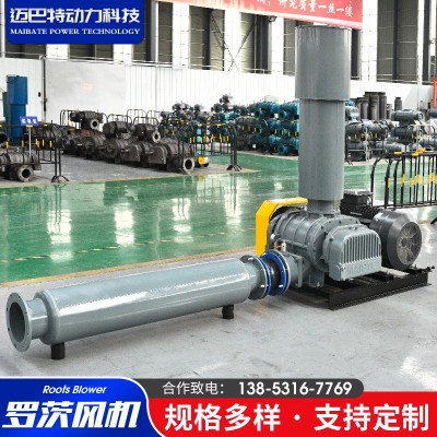 WHSR羅茨風機 廠家供應大流量高效魚塘增氧用污水曝氣羅茨風機