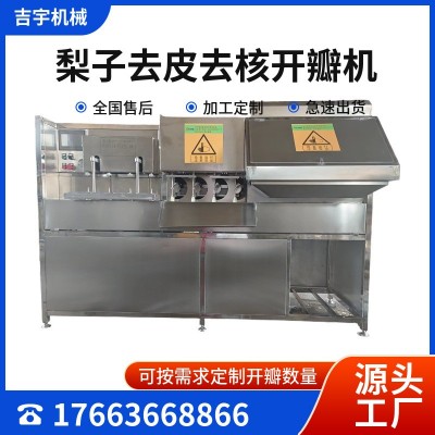 硬皮水果去皮機(jī)全自動蘋果去核去皮分瓣機(jī)商用去核削皮機(jī)