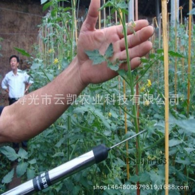 廠家直銷巧蜜蜂電動番茄授粉器 西紅柿振動授粉機 代替西紅柿點花