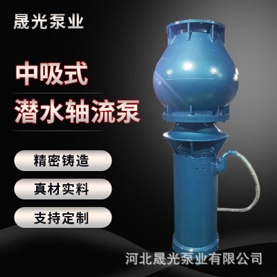 250SGQSZ-5.5-11KW軸流式潛水電泵農(nóng)田灌溉海水養(yǎng)殖水利泵站 專(zhuān)用