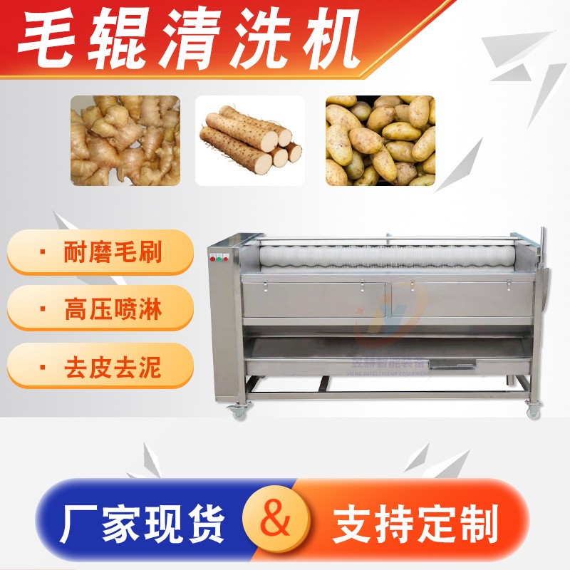 全自動大型蔬菜生姜土豆清洗去皮設(shè)備 海蠣子生蠔去泥毛輥清洗機
