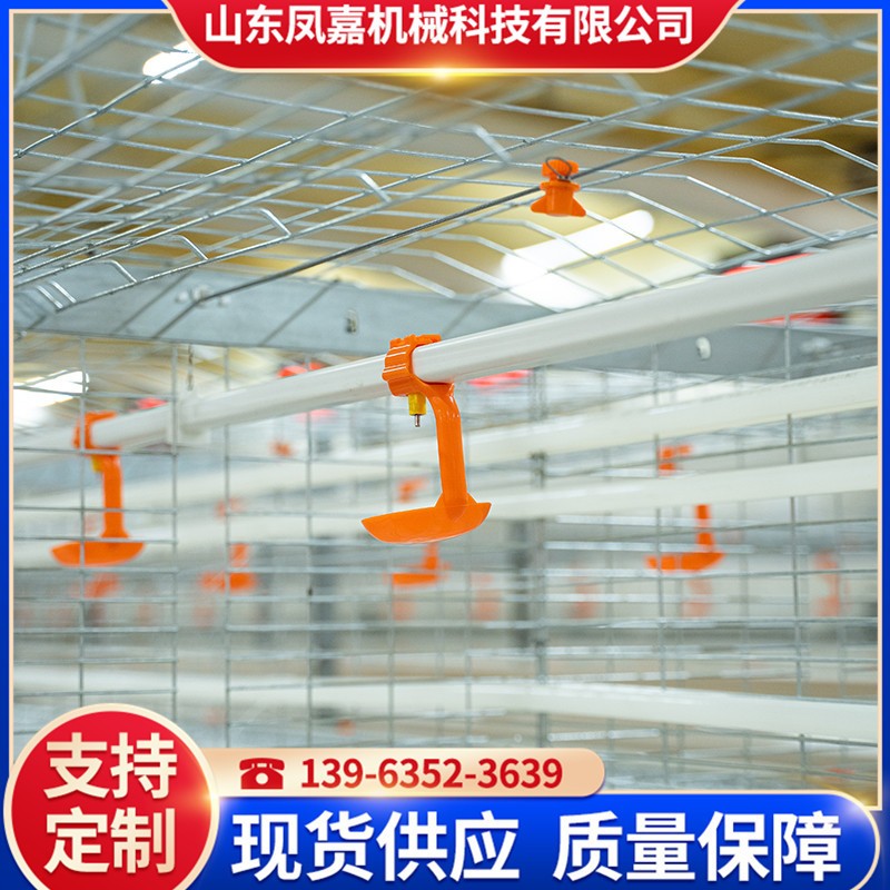 廠(chǎng)家供應(yīng)肉雞鴨養(yǎng)殖設(shè)備 全自動(dòng)肉雞籠 大規(guī)模養(yǎng)殖雞籠 養(yǎng)雞設(shè)備