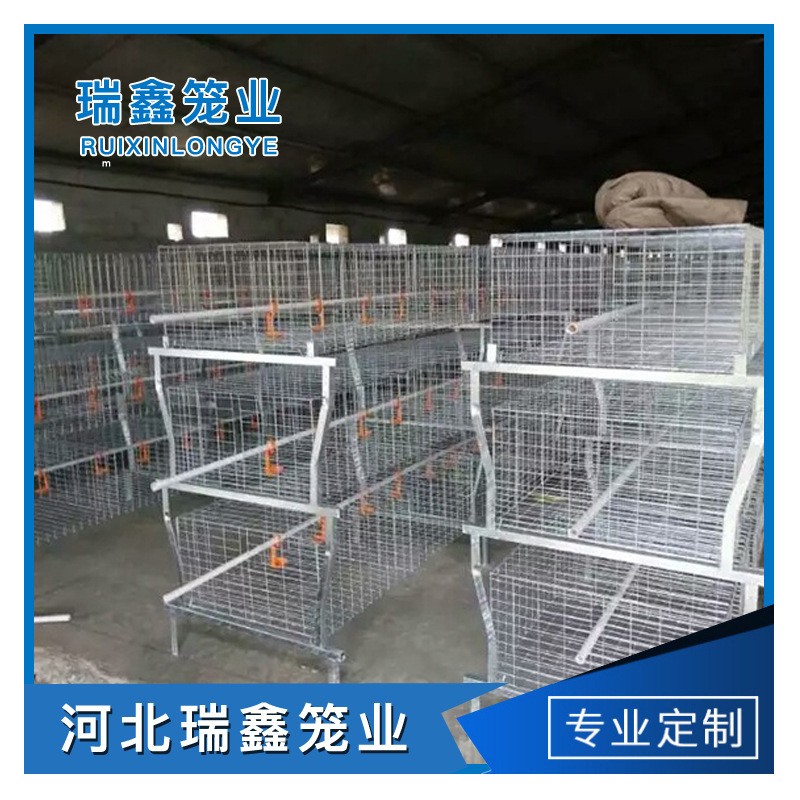 廠(chǎng)家生產(chǎn)供應(yīng) 單層皮帶立式熱鍍鋅元寶肉雞籠全自動(dòng)養(yǎng)殖設(shè)備