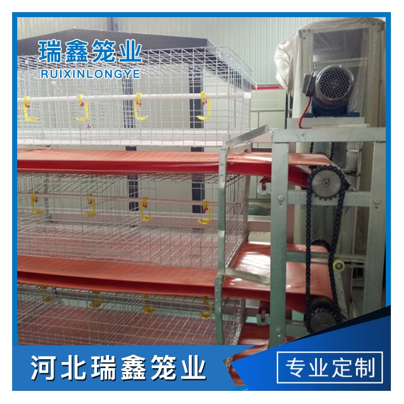 廠(chǎng)家批發(fā) 全自動(dòng)肉雞籠養(yǎng)殖 層疊籠養(yǎng)設(shè)備