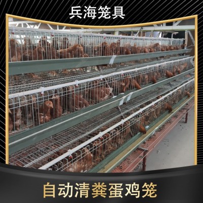 三層階梯式蛋雞籠輸送帶清糞省人工自動養殖設備養雞設備自動化