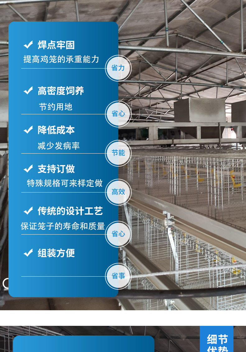 肉雞籠_04