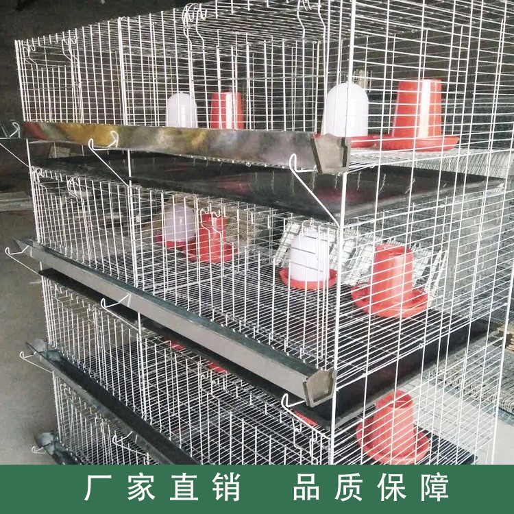 廠(chǎng)家供應(yīng)雞籠 四層立體式小雞籠 雞籠設(shè)備養(yǎng)殖雞籠批發(fā)家禽養(yǎng)殖設(shè)