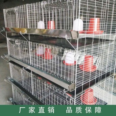 廠家供應雞籠 四層立體式小雞籠 雞籠設備養殖雞籠批發家禽養殖設