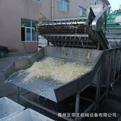 全自動(dòng)豆芽清洗機(jī) 商用綠豆芽清洗機(jī) 源頭工廠大型綠豆芽清洗設(shè)備