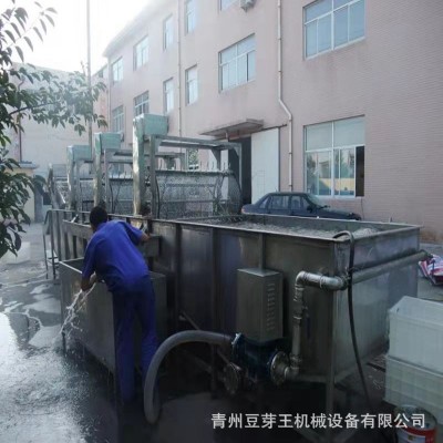 省人工豆芽清洗機(jī) 綠豆芽加工設(shè)備清洗機(jī) 綠豆芽清洗生產(chǎn)流水線(xiàn)