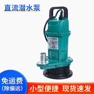 批發(fā)家用220V不銹鋼小型抽水機(jī)農(nóng)用園林灌溉潛水泵戶(hù)外直流離心泵