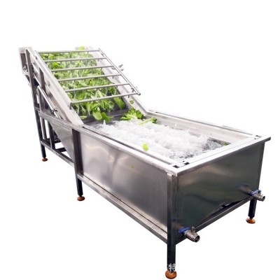 工廠用藍(lán)莓氣泡清洗機 樹莓清洗機 果蔬氣泡清洗機處理設(shè)備