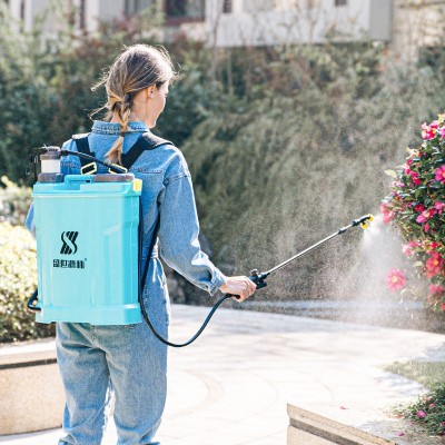背負式手動噴霧器多動能蔬菜消毒打藥機單雙管農(nóng)用氣壓式噴霧器