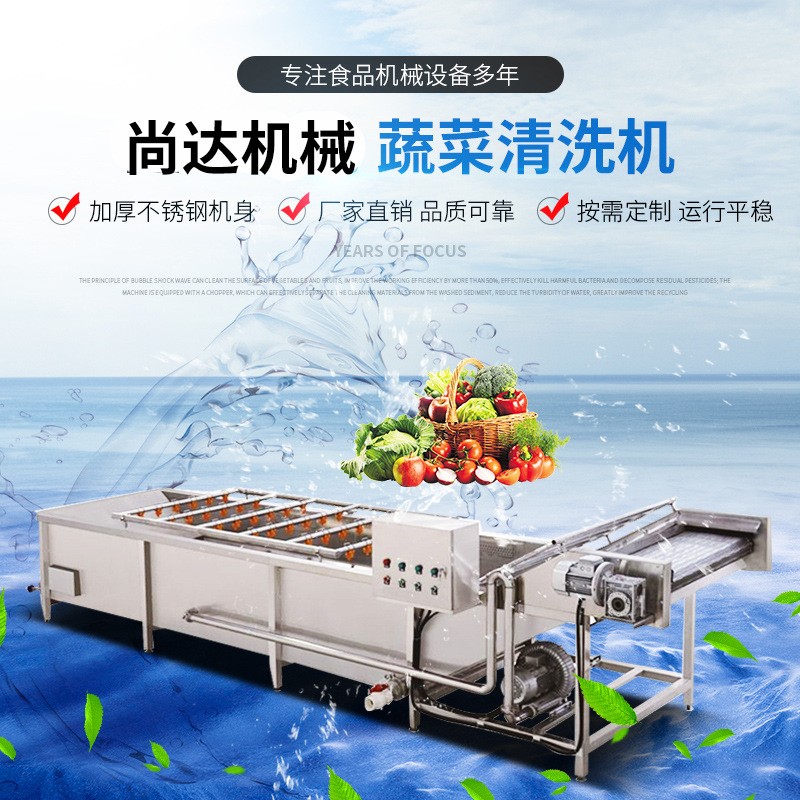 多功能氣泡自動清洗機 水果消毒去農(nóng)殘清洗機廠家 農(nóng)殘消毒清洗機