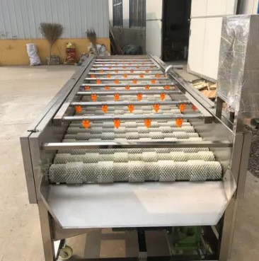 海蠣子毛刷清洗機 白蘿卜平行毛輥清洗機 牡蠣毛輥清洗設(shè)備