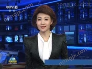 CCTV央視一套、十三套《新聞聯播》并機直播頂呱呱智能遙控旋耕機視頻