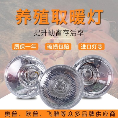 藍鳥養(yǎng)殖專用取暖燈小雞仔豬仔育雛獸用加熱烤燈設(shè)備加厚保溫燈泡