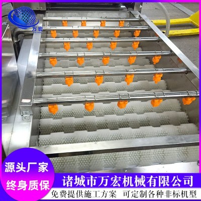 氣泡清洗機 圣女果高壓清洗設備 水果蔬菜噴淋式清洗機器