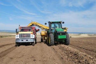 多寶路859土豆收獲機（面議）