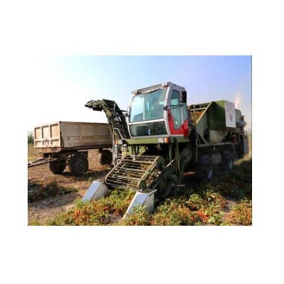 威明德4FZ-35自走式番茄收獲機(jī)