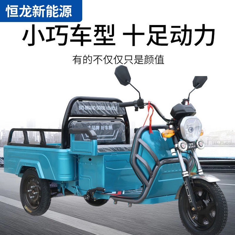 新款小型電動三輪車家用拉貨農用載貨三輪國標可上牌貨運小平板車
