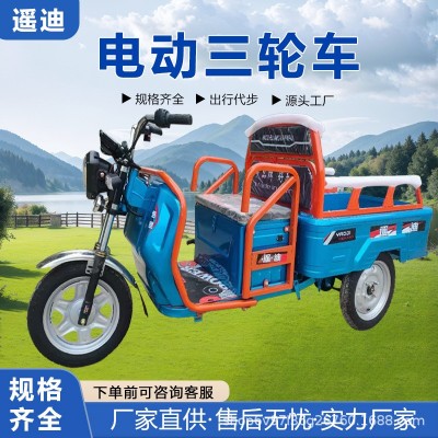 新國標(biāo)電動三輪車載重王成人拉貨三輪快遞車新款家用電瓶車農(nóng)用車