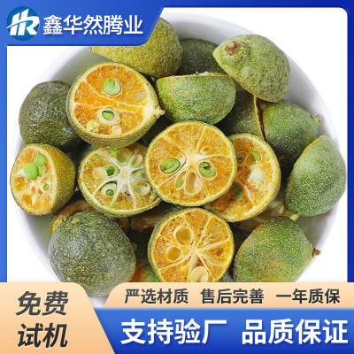小柑橘山楂低溫冷凍干燥設備草莓芒果片檸檬片大型低溫真空凍干機